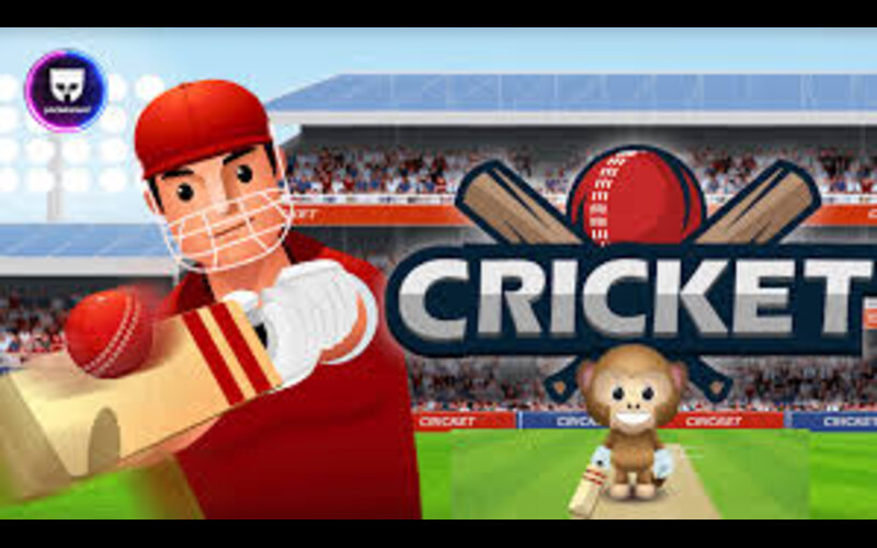 play online cricket game body image